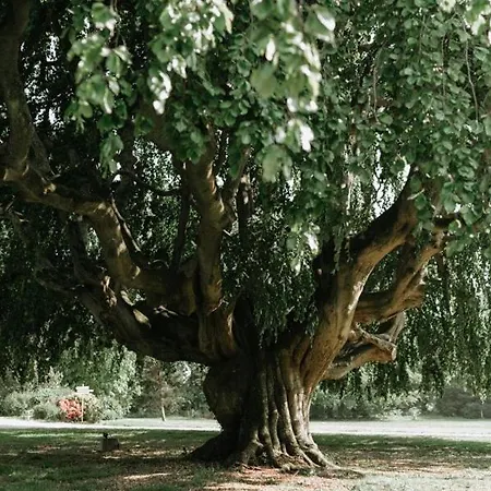 Le Petit Chateau De Conteville Paluel